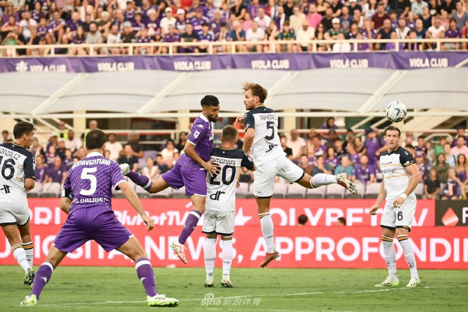 和高效的投 和高效的投